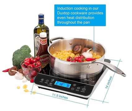 Portable Induction Cooktop Include 6 Quarts Cooking Pot with Divider, Dual  Hot Pot Made of 304 Stainless Steel, with Electric Countertop Burner Enjoy